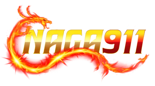 NAGA911